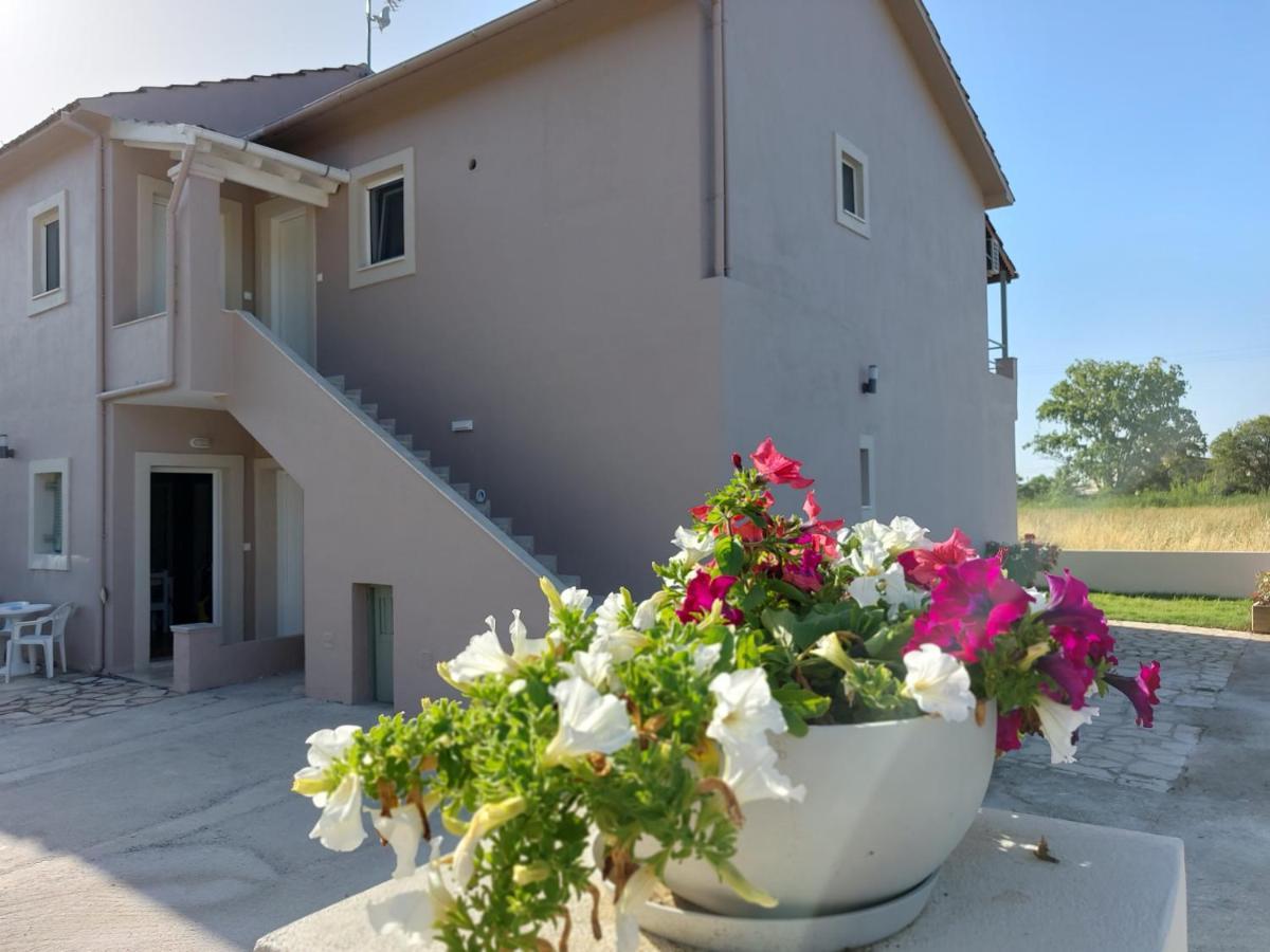 Evelina Luxury Suites In Corfu Ypsos Zewnętrze zdjęcie